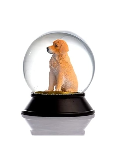 Cam Ve Reçine Altın Patiler Köpek Golden Retriever Kar Küresi Hediye