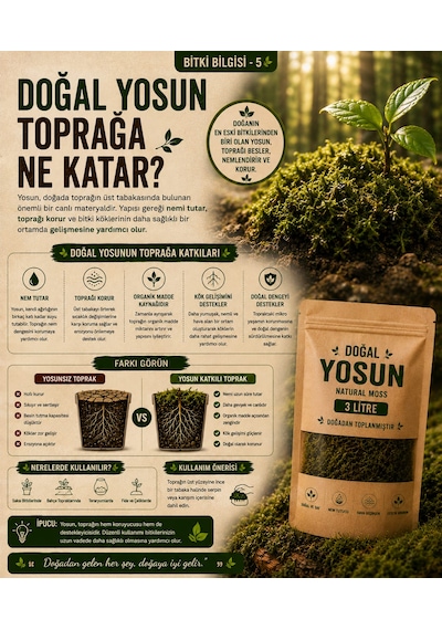 3 Litre Doğal Yosun Torfu, Lif Parça Canlı Spagnum Floor Moss Yosun, Teraryum, Orkide, Toprak Katkısı,dekor