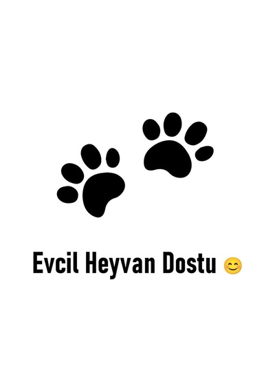 Halıfleks Mega Rip Kaymaz Kauçuk Tabanlı Zemine Tutunan Merdiven Paspası - Siyah Null