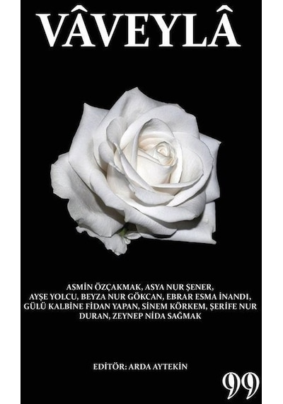 Vaveyla- Doksan Dokuz Yayınları