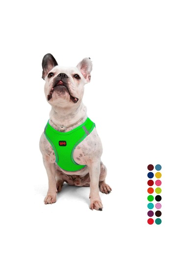 Tailpetz Air-mesh Küçük Ve Orta Irk Kedi Köpek Göğüs Tasması - Yumuşak, Nefes Alabilir, Dayanıklı Neon-yeşil, Large Sku: Zeusb0b826qvq4 Açık Bej - Bej Tailpetz Air-mesh Küçük Ve Orta Irk Kedi Köpek Göğüs Tasması - Yumuşak, Nefes Alabilir, Dayanıklı Neon-yeşil, Large Sku: Zeusb0b826qvq4 Açık Bej - Bej