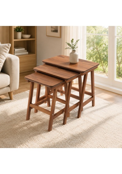 Ganni Home Alvis Zigon Sehpa Ceviz Ceviz Ahşap İskeletli Modern 3 Lü Sehpa Seti