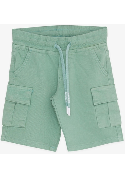 Breeze Girls & Boys Erkek Çocuk Şort Kargo Cepli Bağcıklı 2-6 Yaş, Mint Yeşili-Mint Yeşili Breeze Girls & Boys Erkek Çocuk Şort Kargo Cepli Bağcıklı 2-6 Yaş, Mint Yeşili-Mint Yeşili