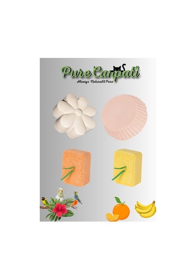 Purecanpati Premium Muhabbet Paraket Kanarya Kuşu Gaga Taşı Seti
