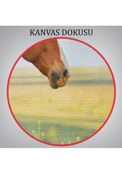 Es10 Özel Tasarım, Dekortif BaskıAt Ve Manzaralı Dekoratif Kanvas Tablo 1131 (125 x 210)