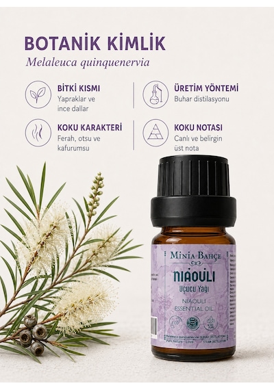 Minia Bahçe Bitki Ve Sanat Atölyesi Nioli Uçucu Yağı  Saf ve Katkısız Bitkisel Uçucu Yağ 10 ML