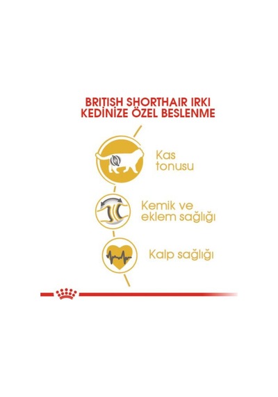 British Shorthair Yetişkin Kedi Maması 400 Gr X 2 Adet