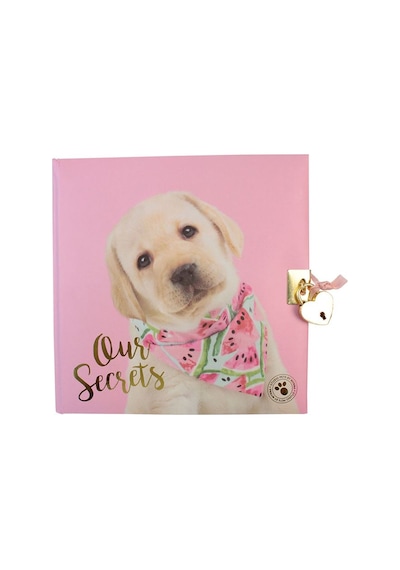 Dolphin Hatıra Defteri Studıo Pets Kilitli Pt-7790 Çok Renkli
