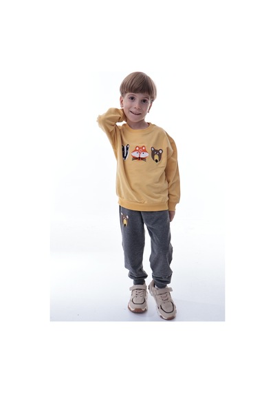 Erkek Çocuk Hayvan Figürlü Sarı Sweatshirt Ve Gri Eşofman Takımı Yumuşak Kumaş, Rahat Kalıp Takım Sarı