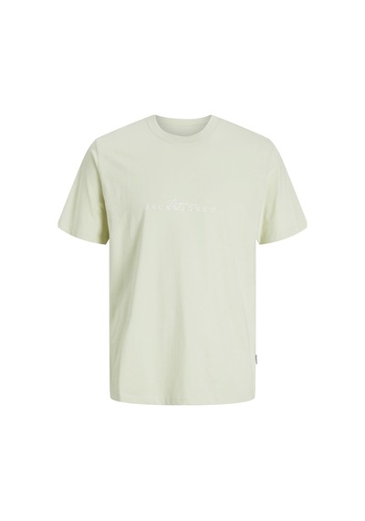Jack & Jones Jorvarenna Brandıng Tee Ss Crew Neck 12273163 Renkli