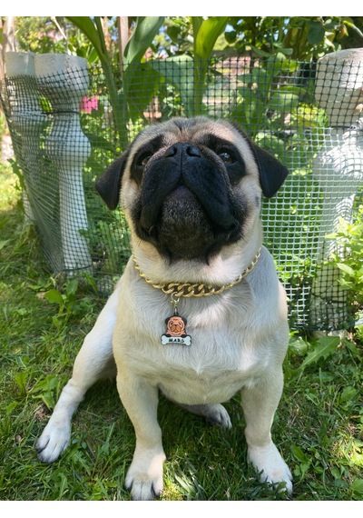 Majo İsimlik Pug 35mmx32mm