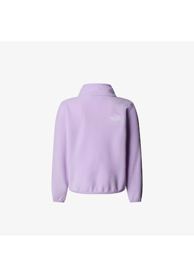 The North Face Teen Glacier 1/4 Zip Pullover Çocuk Mor Polar Ceket Nf0a8cvjqzı1 Mor