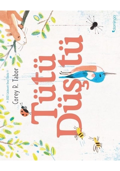Tütü Düştü - Corey R. Tabor - Domingo Yayınevi