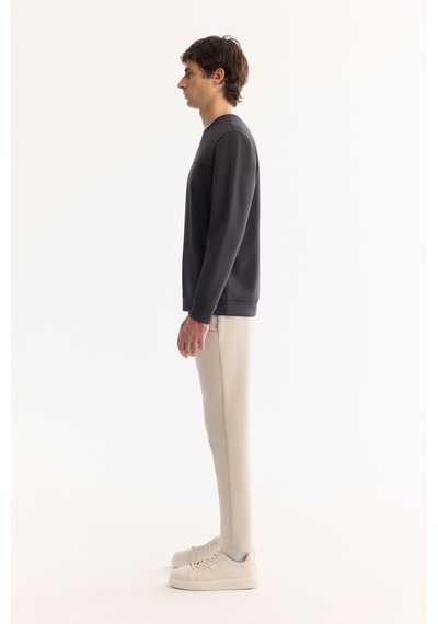 Avva Erkek Antrasit Bisiklet Yaka Pamuklu Bi-stretch Baskılı Regular Fit Sweatshirt A52y1325