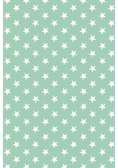 Premier Home Yıldız Desenli Fon Perde Mint 170X270 (472220920)