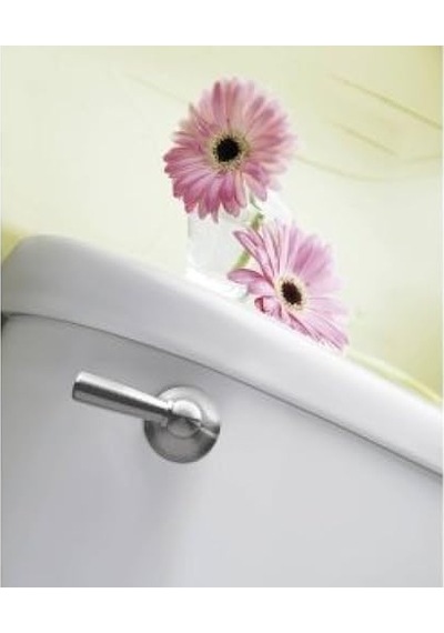 Brushed Nickel - Moen Dn6801bn Sage Inspirations Toilet Tank Le Diğer