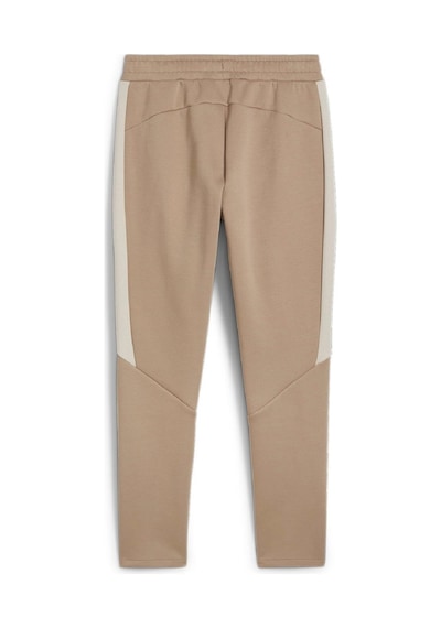 Puma Erkek Sweat Pant Evostrıpe Pants 68170267 001