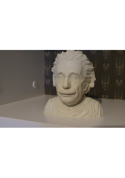 Albert Einstein Albert Eınsteın Büst 3D Baskı Figür Fıgure