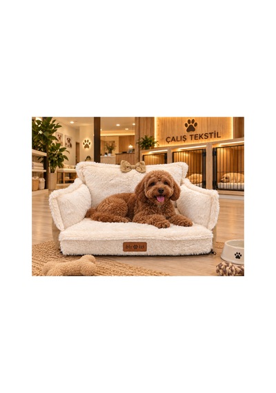 Kedi Ve Köpek Koltuğu Tamamen Fermuarlı Çıkarılabilir İç Minder Boncuk Elyaf Kaydırmaz Taban Kedi Ve Köpek Yatağı Beyaz Peluş Sarı 1715567033 Kedi Ve Köpek Koltuğu Tamamen Fermuarlı Çıkarılabilir İç Minder Boncuk Elyaf Kaydırmaz Taban Kedi Ve Köpek Yatağı Beyaz Peluş Sarı 1715567033