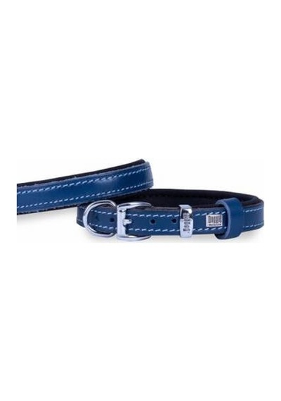 Konfor Deri Köpek Boyun Tasması Royalblue 1,5x25 30 Cm Çok Renkli