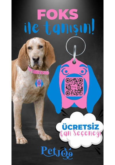 Petjoo 29.Foks Mavi-Pembe Qr'lı Köpek Künyesi