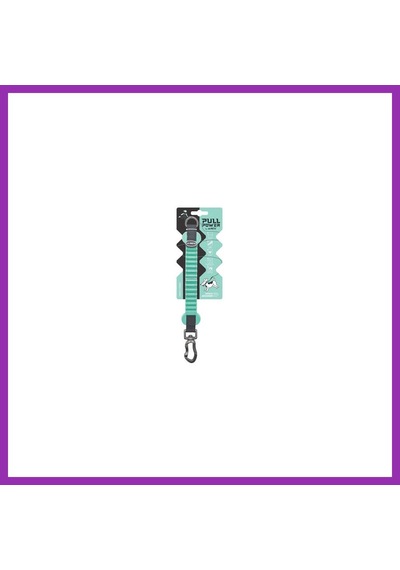 M-pets Pull Power Köpekler İçin Şok Emici Ara Tasma Yeşil 25 Cm Bty