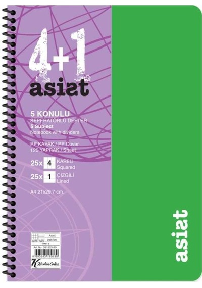 Defter A4 4+1 125 Yaprak Ayraçlı Plastik Kapak Asist Çok Renkli