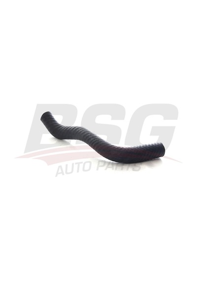 Bsg Turbo Hortumu Turbo Borusu Hortumu - Clıo Iv/megan Iıı-ıv/captur/dokker/duster 12-