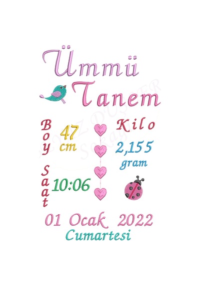 Kişiye Özel Nakişli Bebek Doğum Yastığı
