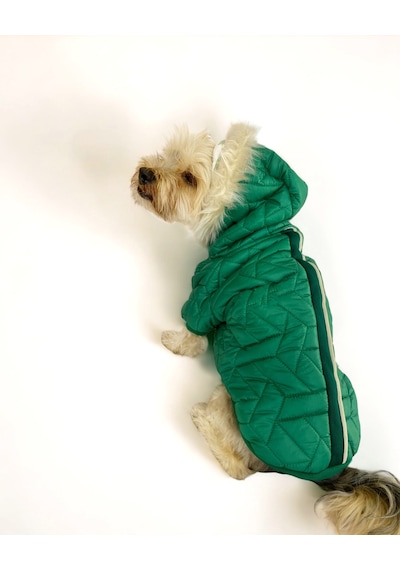 Luxy Green Köpek Montu, Köpek Ceketi, Köpek Dış Giyim