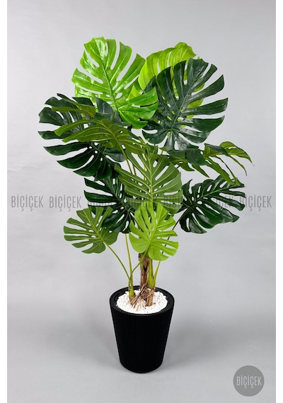 Biçiçek Yapay Monstera Ağacı Deve Tabani 160 Cm Si̇yah Luna Saksıda