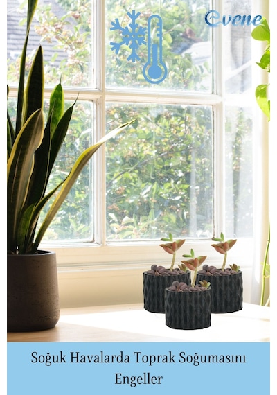Mini Çiçek Saksı Küçük Sukulent Siyah Kaktüs Saksısı 3'lü Set Baklava Çizgili Model