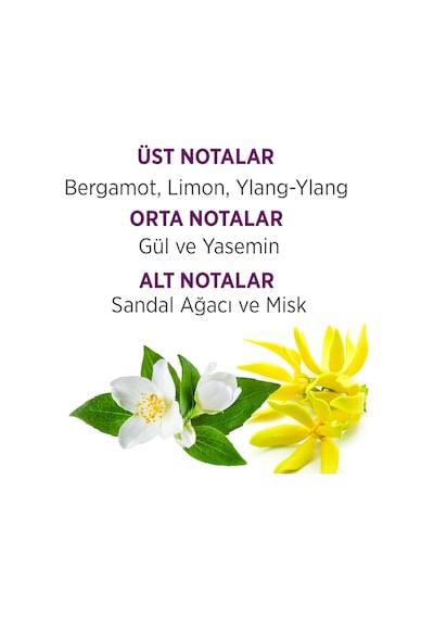 Bellissima Kadın Parfüm EDT 60 ML