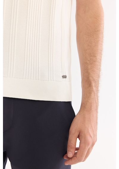 Avva Erkek Ekru Bisiklet Yaka Çizgili Triko Regular Fit T-shirt A52y5005