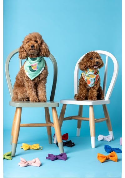 10 Renk Seçenekli Köpek Ve Kedi Evcil Hayvan Papyon/fular Lila, 1