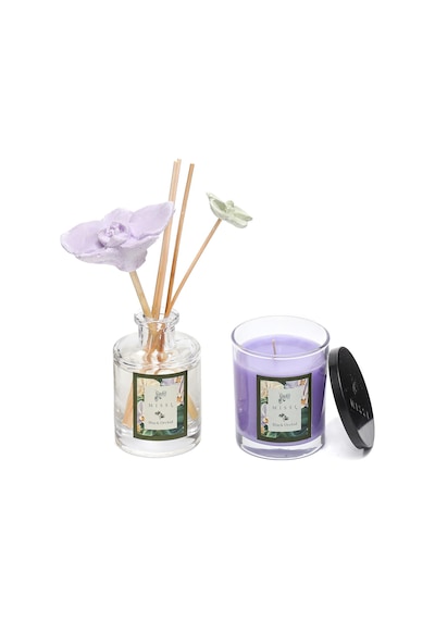 Black Orchid Oda Kokusu Ve Vegan Mum Hediye Seti