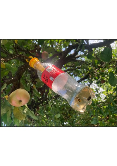 Yaban Arısı Kapanı Aparatı Pet Şişe Uyumlu Asılabilir Tuzak ...