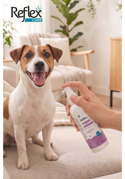 Reflex Care Yaban Mersini Kokulu Köpek Kolonyası 125 Ml