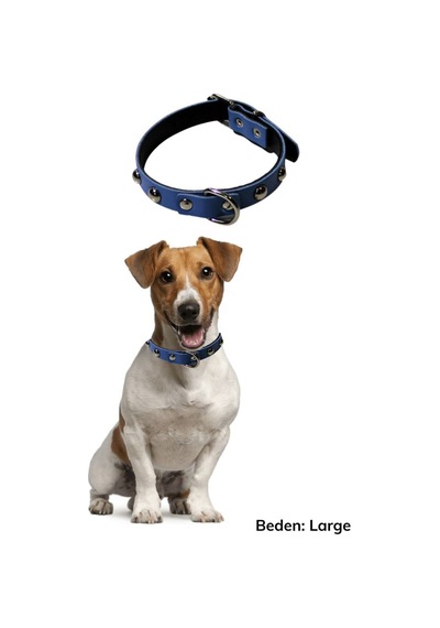 Yumuşak Dokulu Deri Köpek Gezdirme Boyun Tasması Large Çok Renkli