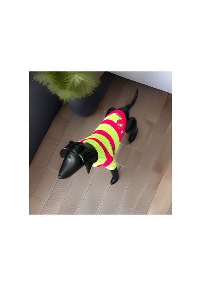 Kedi Ve Köpek İçin Neon Yeşil Pembe Hırka