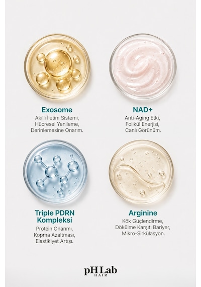 Phlab Hair Pdrn Nad+ & Exosome Hair & Scalp Care Şampuan 250 ML