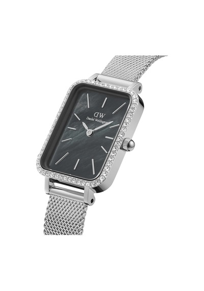 Daniel Wellington Dw00600667 Kadın Kol Saati Diğer