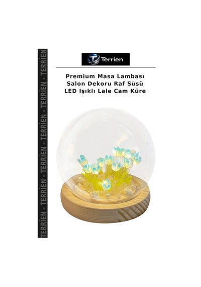 Premium Masa Lambası Salon Dekoru Raf Süsü Led Işıklı Lale Cam Küre Çok Renkli