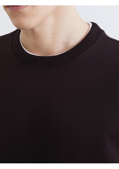 Lcw Vision Kahverengi Bisiklet Yaka Erkek Kalın Sweatshirt