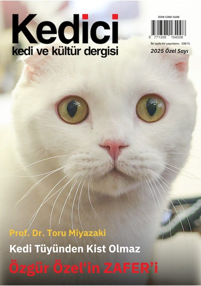 Kedici Kedi Ve Kültür Dergisi