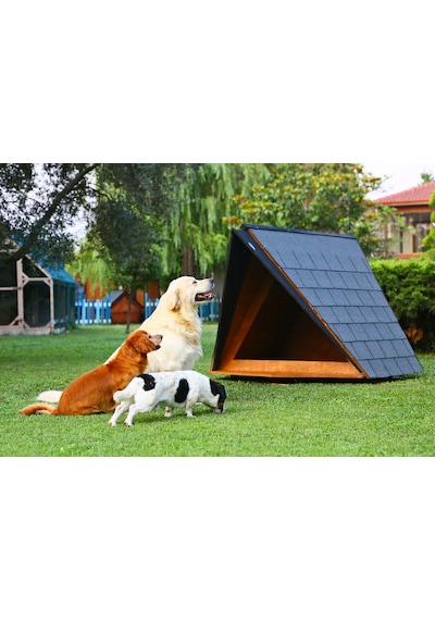 MANDU Ahşap Köpek Kulübesi (A Frame)