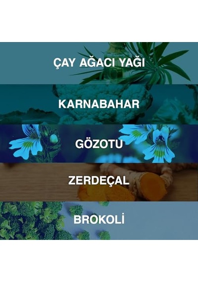 Tr Sebum Dengeleyici Yüz Yıkama Jeli Niasinamidli Termal Sulu Bitkisel Kompleksli Akneye Eğilimli Ve Yağlı Ciltler