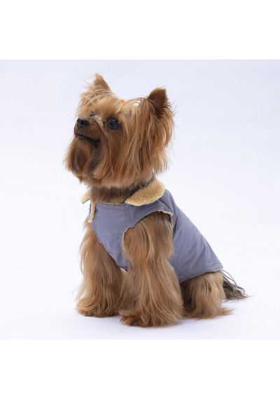 Gri Yukon Yelek Köpek Yeleği Köpek Kıyafeti Köpek Yağmurluk