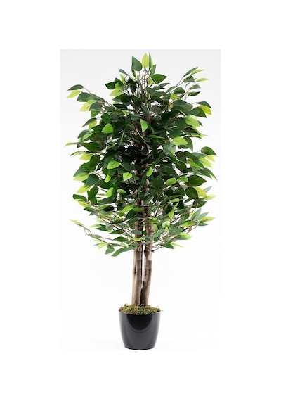 Yapay Ağaç Benjamin Yeşil 2 Gövdeli 110*70cm Siyah Plastik Saksılı