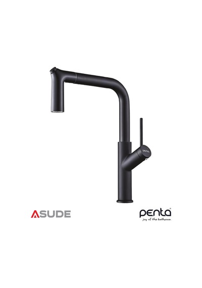 Penta 1319b Black Spiralli Evye Bataryası Siyah